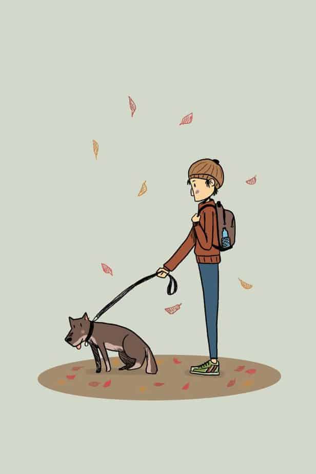 Dog walking, get paid.