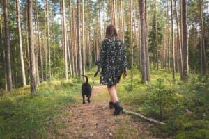 Become a dog walker in South Africa.