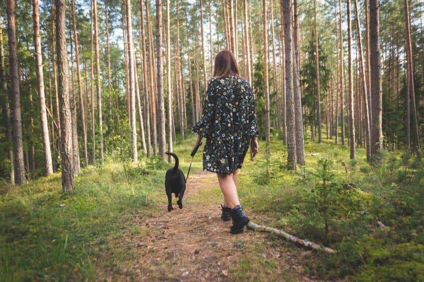 female dog walker.